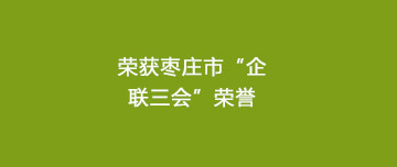 喜報|鑫金山榮獲棗莊市“企聯(lián)三會”多項榮譽